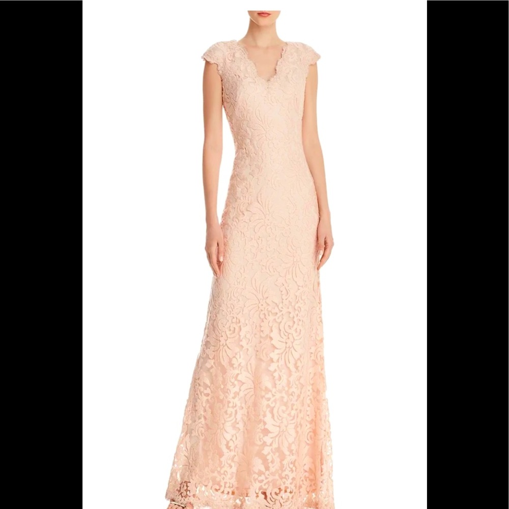 Tadashi Shoji illusion lace dress NWT